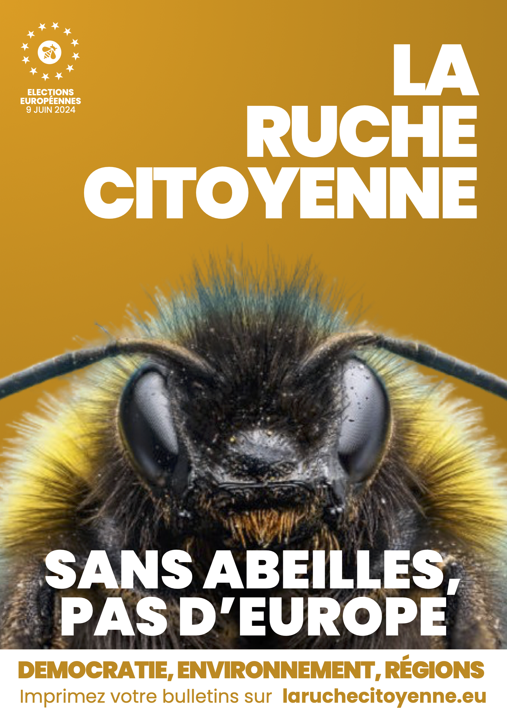 Membre de la Ruche Citoyenne